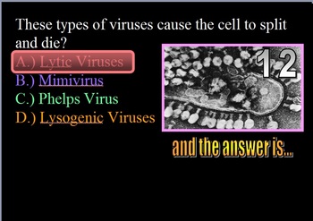 viruses quiz