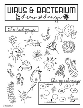 Preview of Virus and Bacterium Drawing Reference Guide