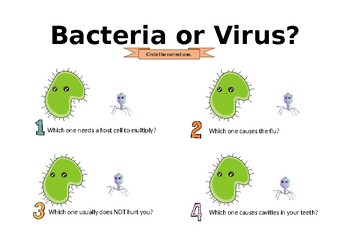 Preview of Virus or Bacteria: What's the Difference?
