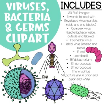 Preview of Viruses, Bacteria & Germs - CLIPART