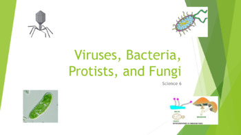 Viruses, Bacteria, Protists, and Fungi FULL UNIT by Sensational Science