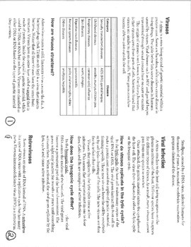 Preview of Viruses Immunity Guided Reading Questions