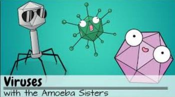 Viruses Recap Answer Key by The Amoeba Sisters (Answer Key ...