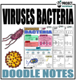 Viruses and Bacteria Doodle Notes