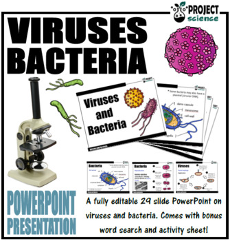 Preview of Viruses and Bacteria PowerPoint and Activity Sheets