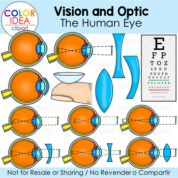 Preview of Vision and Optic - The Human Eye