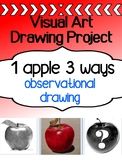 Visual Art Drawing Project for high school - 1 Apple, 3 Ways
