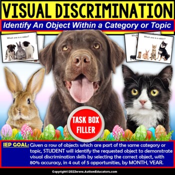 Preview of Visual Discrimination Skills for Identifying Differences Task Box Filler Autism