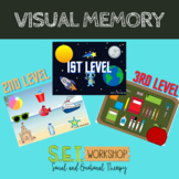 Visual Memory