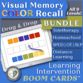 Visual Memory Color Recall BOOM Cards™ – Complete BUNDLE