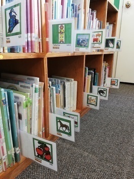 Preview of Visual Shelf Markers for Early Childhood, Kinder, and Beyond - Bilingual SP & EN