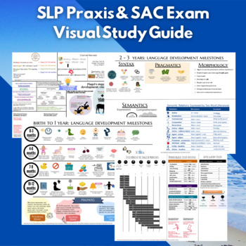 Preview of Visual Study Guide for SLP Praxis & CETP Exam