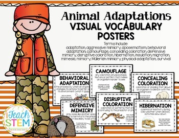 Preview of STEM Visual Vocabulary Posters - Adaptations for Survival