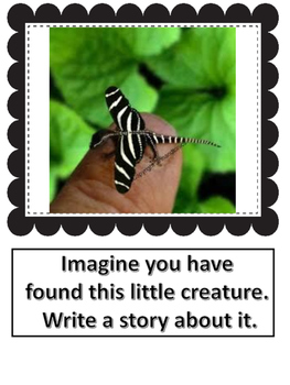 Visual Writing Prompts for The Primary Grades by Poppy Rose's Resources