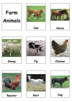 Visuals Flashcards - Farm Animals Set by Improving Life Outcomes TPT