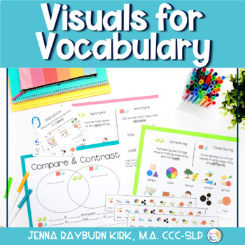 Preview of Visuals for Vocabulary: Vocabulary Posters