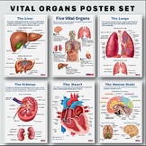 Vital Organs Poster Set