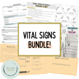 Vital Signs Activities - BUNDLE