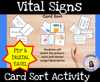 Preview of Vital Signs Card Sort Task Cards Principles of Biomedical Science