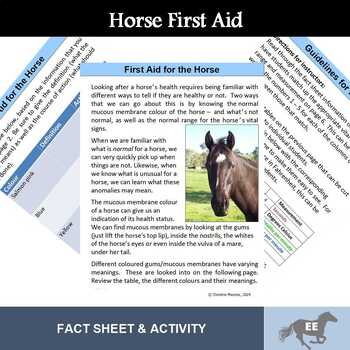 Preview of Vital Signs of the Horse Activity
