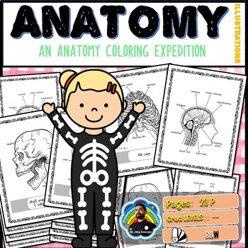 Preview of Vivid Vistas: Bones & Brain - An Anatomy Coloring Expedition!