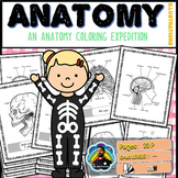 Vivid Vistas: Bones & Brain - An Anatomy Coloring Expedition!