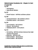 Vocab Boxes Activity for Skeletal System Vocabualry Terms