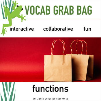 Preview of Functions Vocab Vocabulary Grab Bag Game