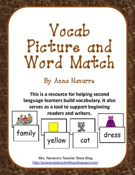 Preview of Vocabulary Picture and Word Match