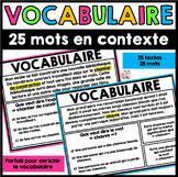 Vocabulaire - Compréhension de lecture - French Vocabulary