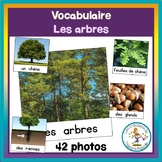 Vocabulaire Les arbres - trees french vocabulary