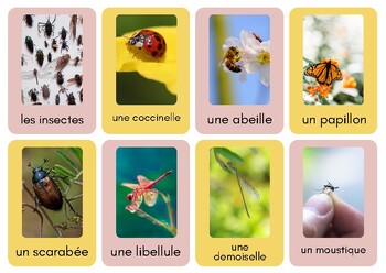 4 image 1 mot 7 lettre chenille coccinelle abeille sauterelle