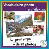 Spring picture vocabulary in French