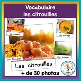 Vocabulaire sur les citrouilles - pumpkins french vocabulary
