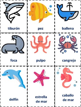 Vocabulario Animales del Mar by By Therapy and Learning | TPT