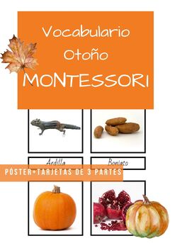 Preview of Vocabulario Otoño Montessori. Tarjetas de 3 partes y poster. Spanish.