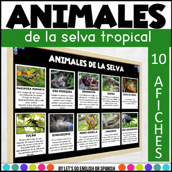 Preview of Vocabulario - comprensión de lectura sobre animales de la selva FREEBIE!