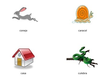 Preview of Vocabulario de la letra Cc (Dura)