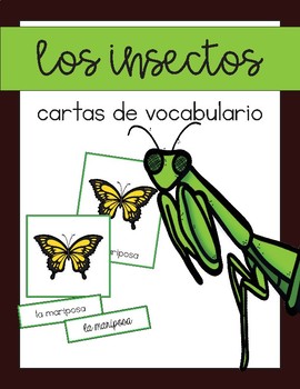 Preview of Vocabulario de los insectos / Insect Vocab Matching Spanish