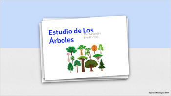 Preview of Vocabulario para el Estudio de los Árboles/Vocabulary for Tree Study