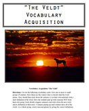 "The Veldt" Vocabulary Acquisition