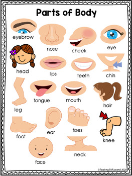 Vocabulary Activities Body Parts by Teaching Biilfizzcend | TPT