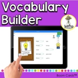 Vocabulary Activities - Word-Finding - Semantic Cues - Exp