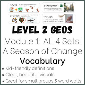 Preview of Vocabulary BUNDLE! Geos Level 2 FULL Module 1