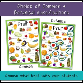 Exploring the Spectrum of Fruits Vocabulary