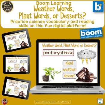 Preview of Vocabulary Builder | Weather, Plant or Dessert Boom Learning Digital Task Cards