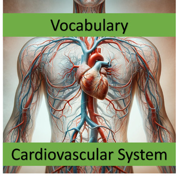 Preview of Vocabulary Cardiovascular System