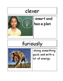 Vocabulary Cards for Harry the Dirty Dog by Gene Zion (Tex