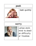 Vocabulary Cards for Wemberly Worried by Kevin Henkes