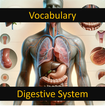 Preview of Vocabulary Digestive System